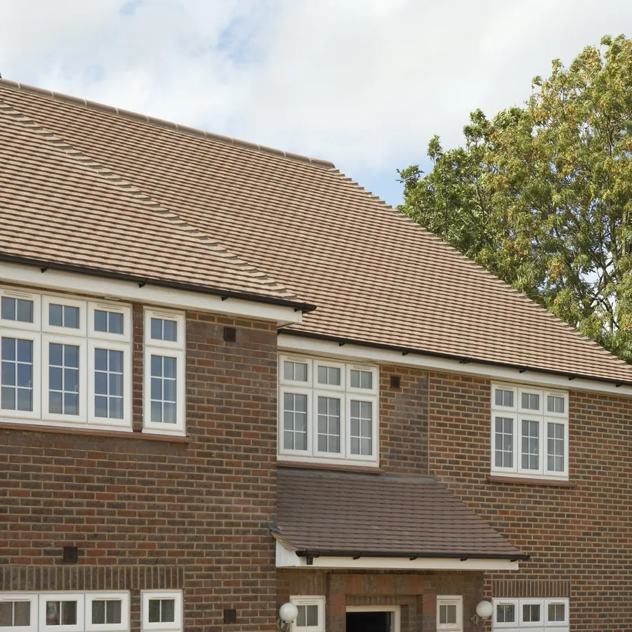 Orangery New Cross Gate