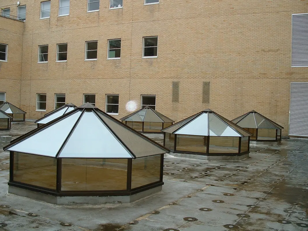 Flat Roof Skylights New Cross Gate